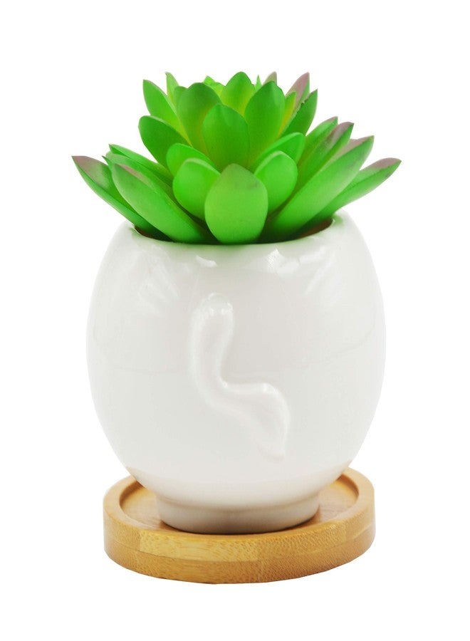 Cuteforyou Succulent Pots,Cute Cartoon Cow Shaped Ceramic Succulent Cactus Flower Pot,Pencil Holders,Desk Accessories, Makeup Brush Storage Stand-Plant Not Included (with Tray) - Image 3